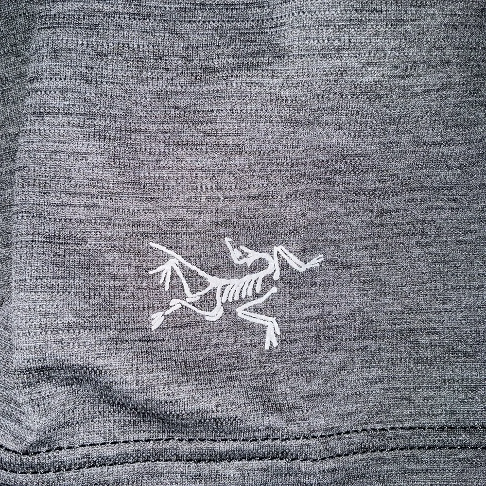 Arcteryx Shirt Womens Large Gray Taema Crew Long Sleeve Heather NWT
